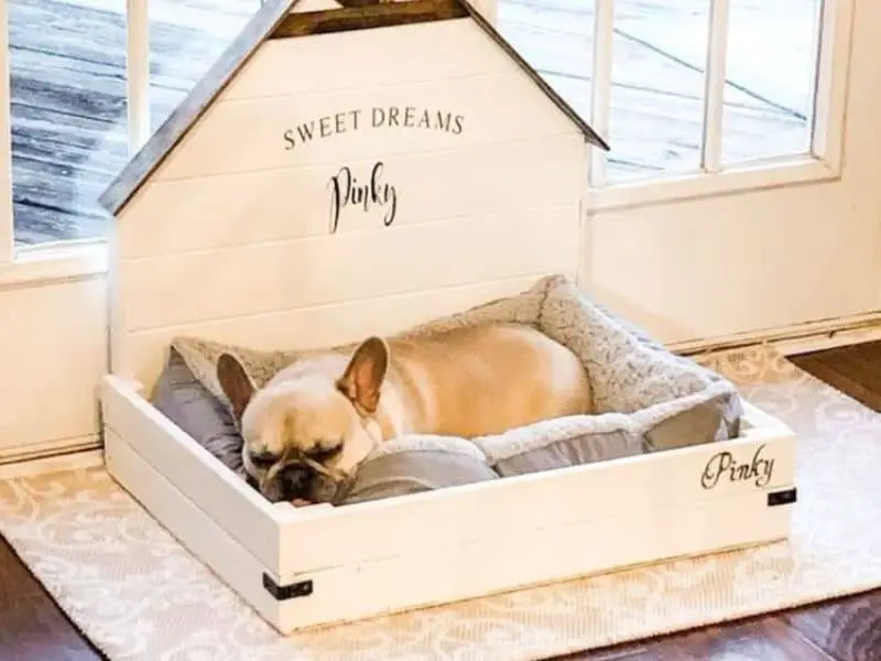 custom size dog bed - small dog