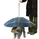 parapluie pour chien
