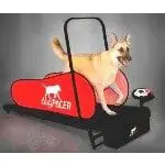 dogpacer-dog treadmill