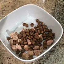 Croquettes avec mélangeurs de repas pour chiens