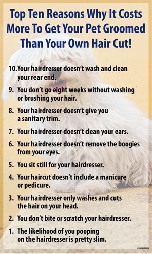Top Ten Reasons Why It Costs More to Get Your Pet Groomed