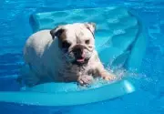 Zoe in the pool 