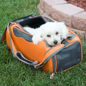 Dog Bag - Teafco Argo pet carrier