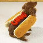 Halloween Dog Hot Dog Costume