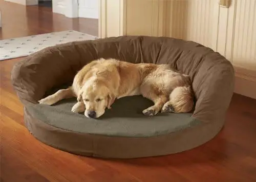 Large Dog Beds and Extra Large Dog Beds If You Have A Really Big Dog