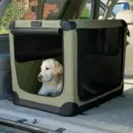 Orvis - Caisse de voyage pliable en nylon pour chiens