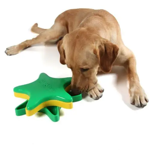 Keep Your Pooch Busy with These Dog Treat Dispenser Toys