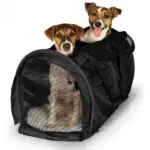 2 in 1 Pet Carrier