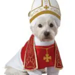 The Pope Dog Costume
