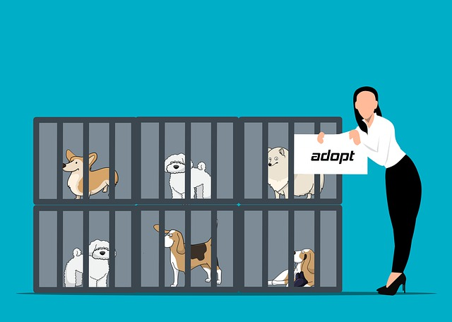 chien, adopter, adoption, Adopter un chiot
