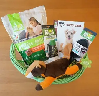 animal planet spring basket