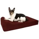 Orthopedic Dog Bed with Headrest 