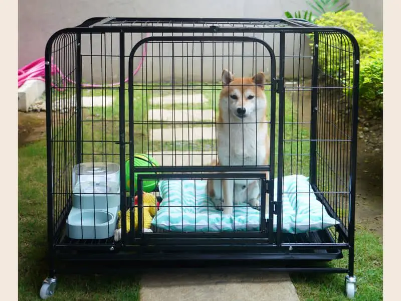 large size dog cage