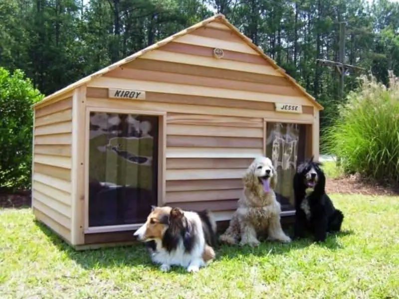 dog house size