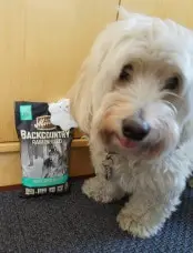 grain free dog food