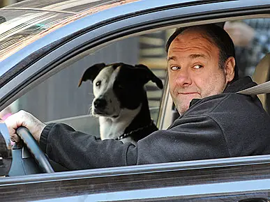 James Gandolfini Hunde