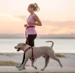 Blown Away by the Flexi etractable Dog Leash