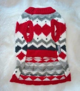 DOGO sweater 3