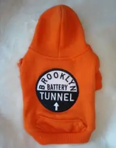 Brooklyn dog sweatshirt