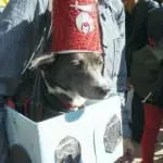 Tompkins Square Halloween Dog Parade 003