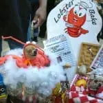 Tompkins Square Halloween Dog Parade 012