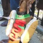 Tompkins Square Halloween Dog Parade 014