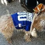 Tompkins Square Halloween Dog Parade 022