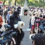 Tompkins Square Halloween Dog Parade 031