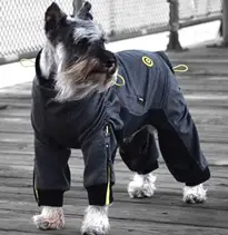 Dog Suits for Fall and Winter