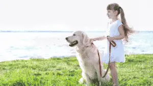 Medium Sized Dogs - Big Dogs - Large Dog Breeds For Kids