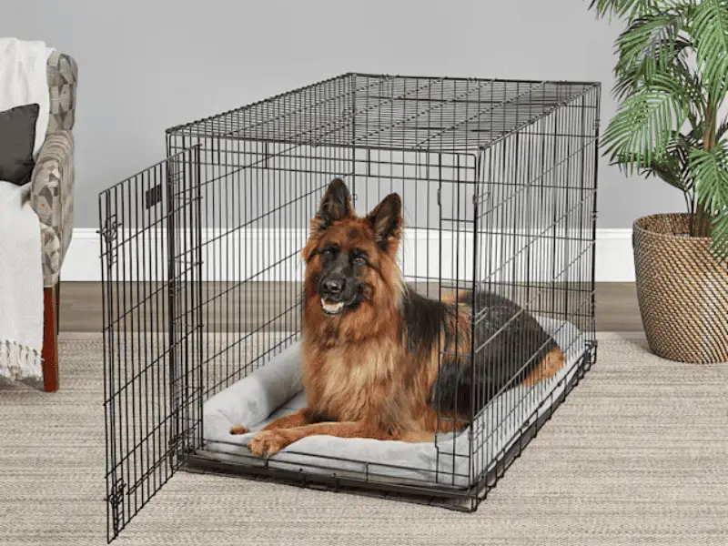 kennel size for large dog