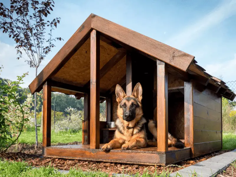 Extra Large Dog Houses