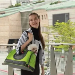 Traveling with Your Dog on an Airplane Dogsized